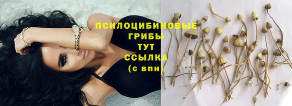 мефедрон Алексеевка